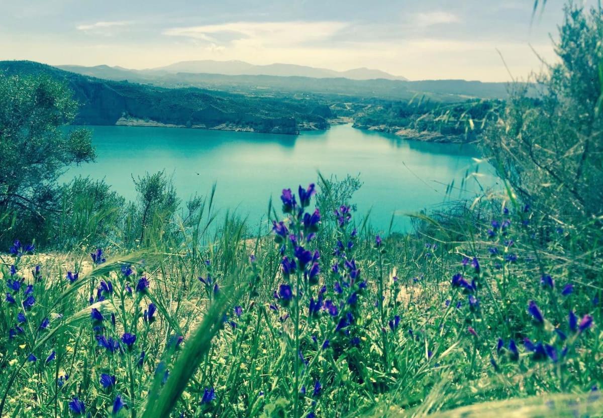 Cortijo Paraiso Charcon Higuera المظهر الخارجي الصورة