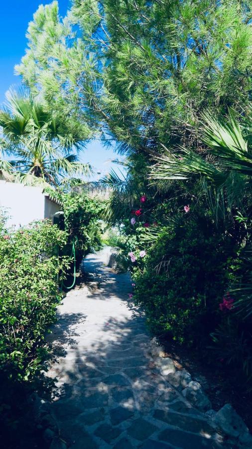 Cortijo Paraiso Charcon Higuera المظهر الخارجي الصورة