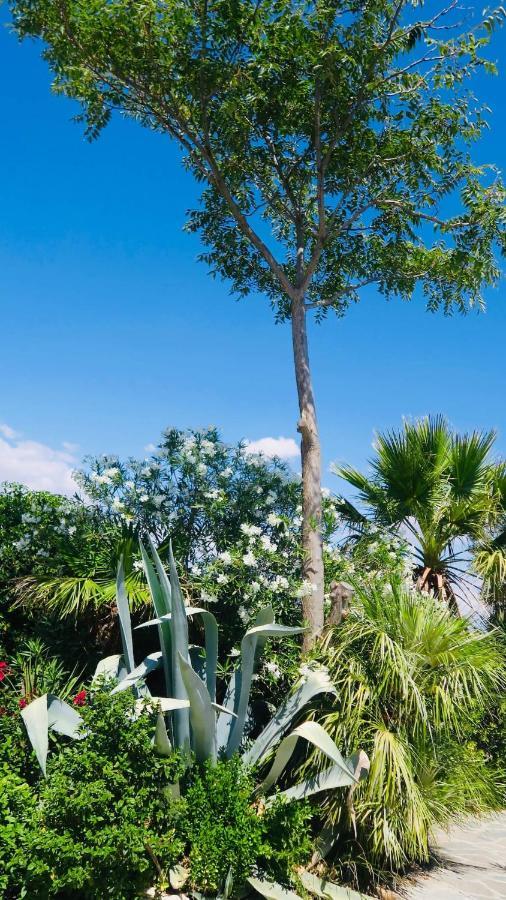 Cortijo Paraiso Charcon Higuera المظهر الخارجي الصورة