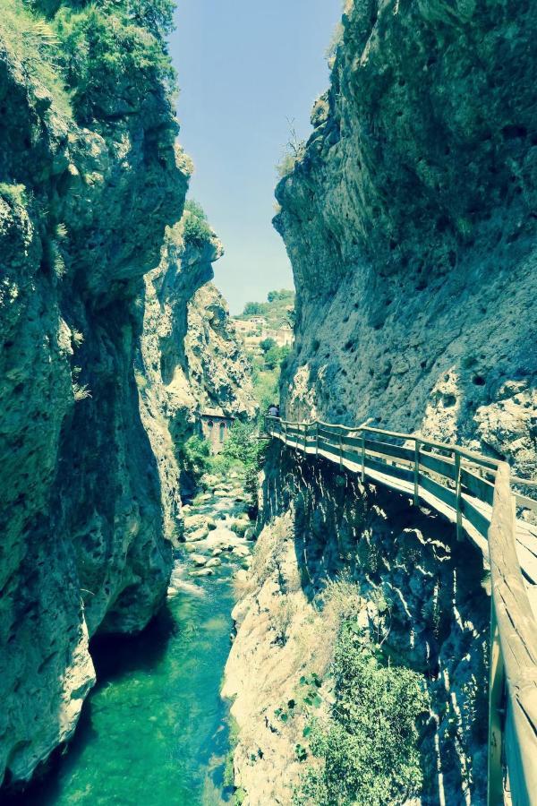 Cortijo Paraiso Charcon Higuera المظهر الخارجي الصورة