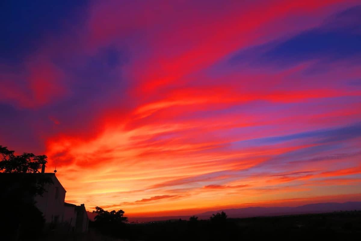 Cortijo Paraiso Charcon Higuera المظهر الخارجي الصورة