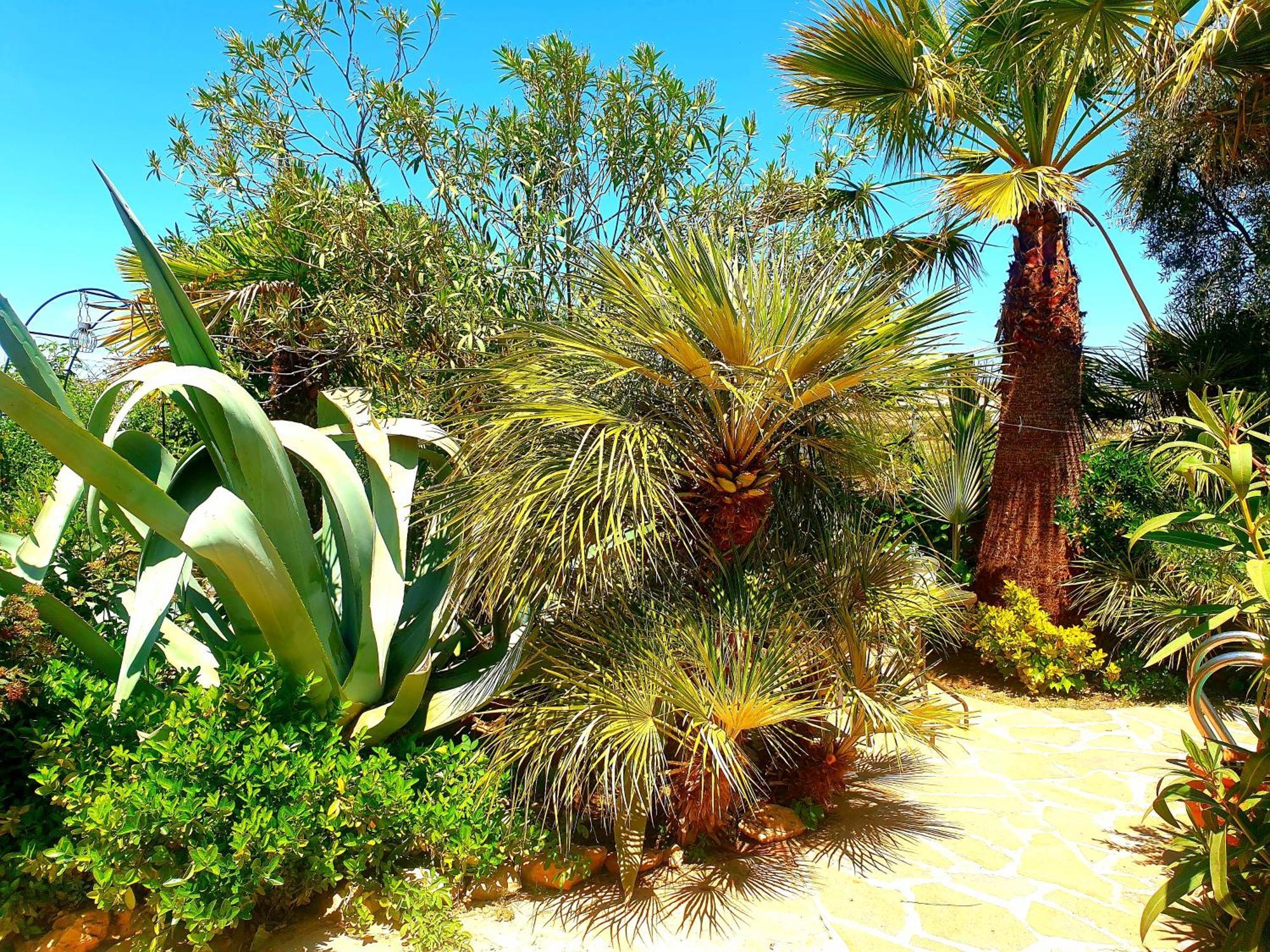 Cortijo Paraiso Charcon Higuera الغرفة الصورة