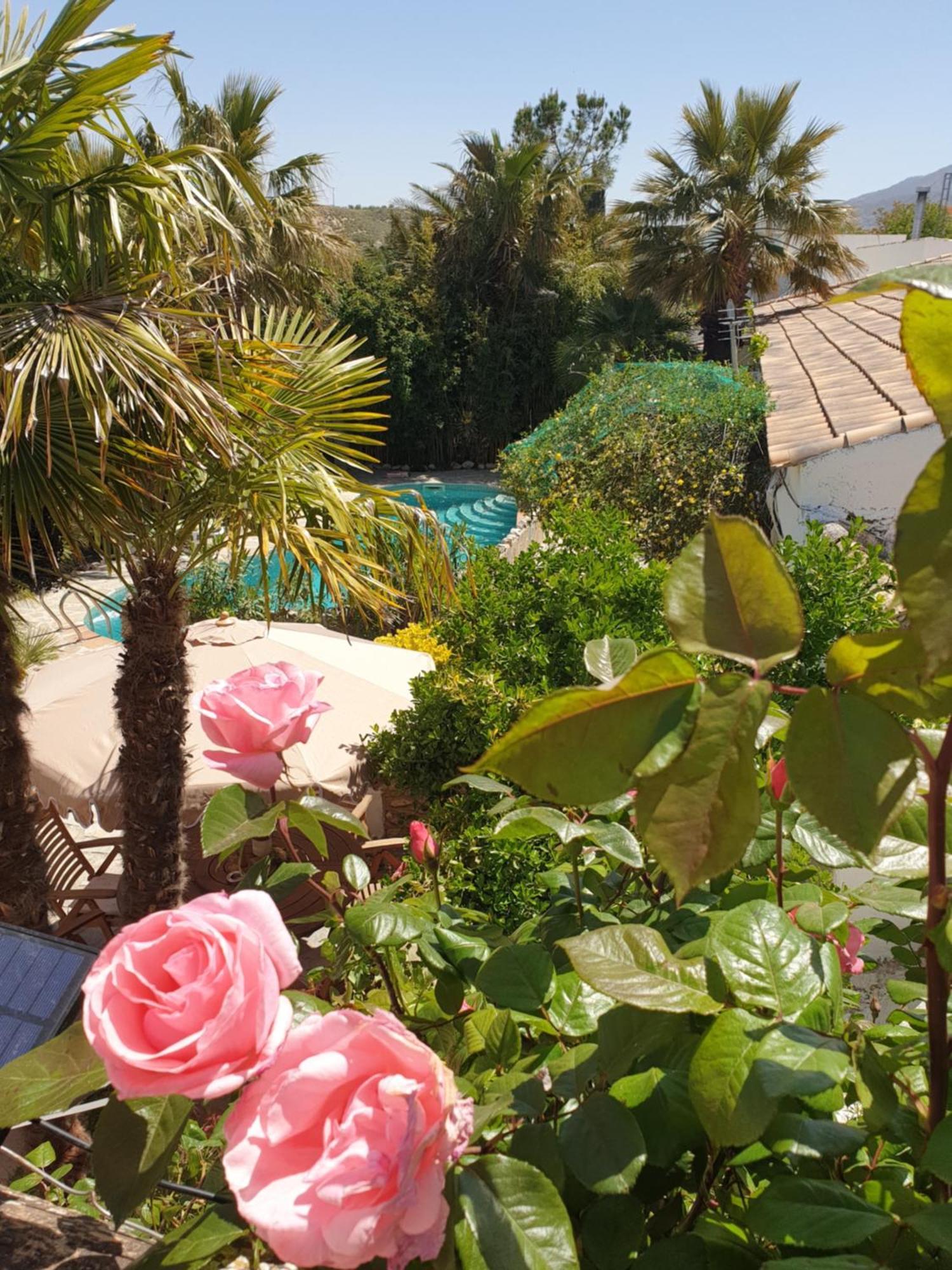 Cortijo Paraiso Charcon Higuera المظهر الخارجي الصورة